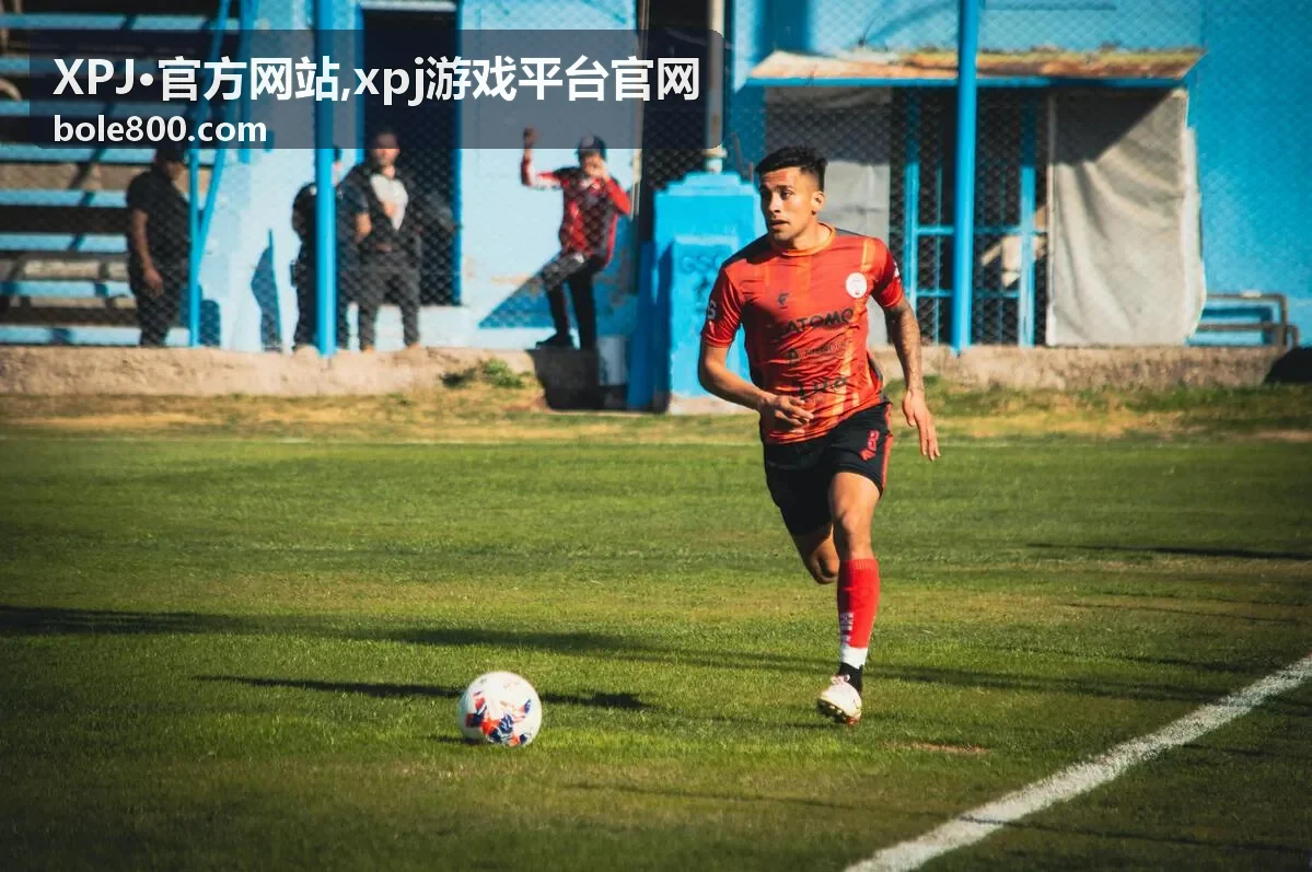 XPJ·官方网站安全识别提示背景图
