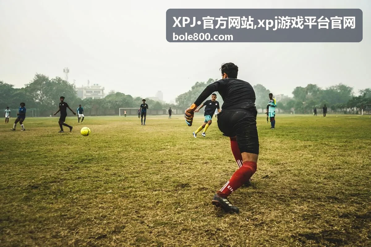 xpj游戏平台官网入口指南说明图