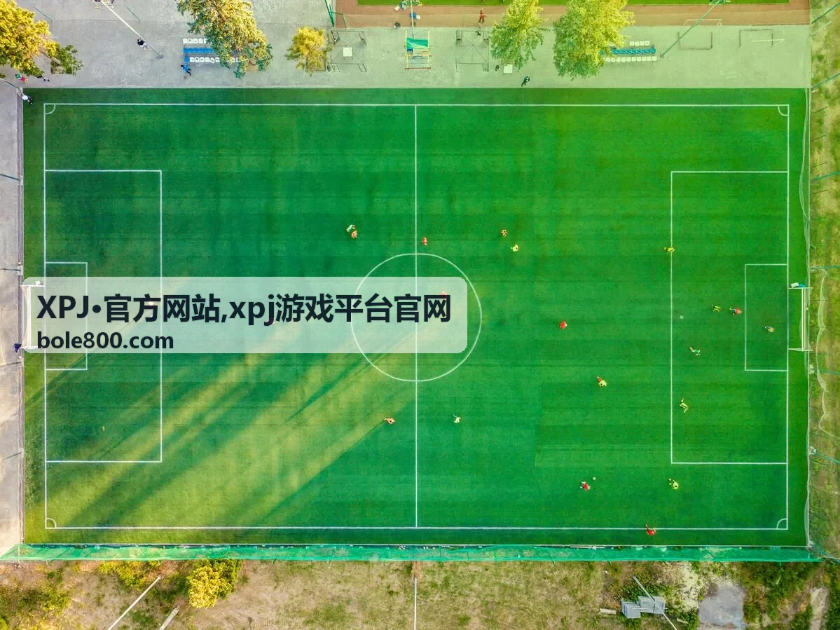 XPJ·官方网站入口说明精选内容图
