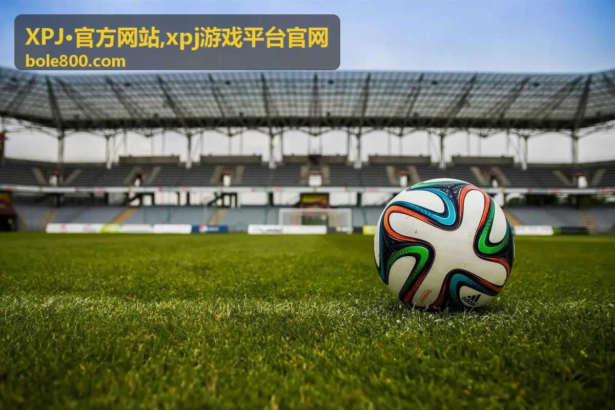 xpj游戏平台官网使用指南封面图