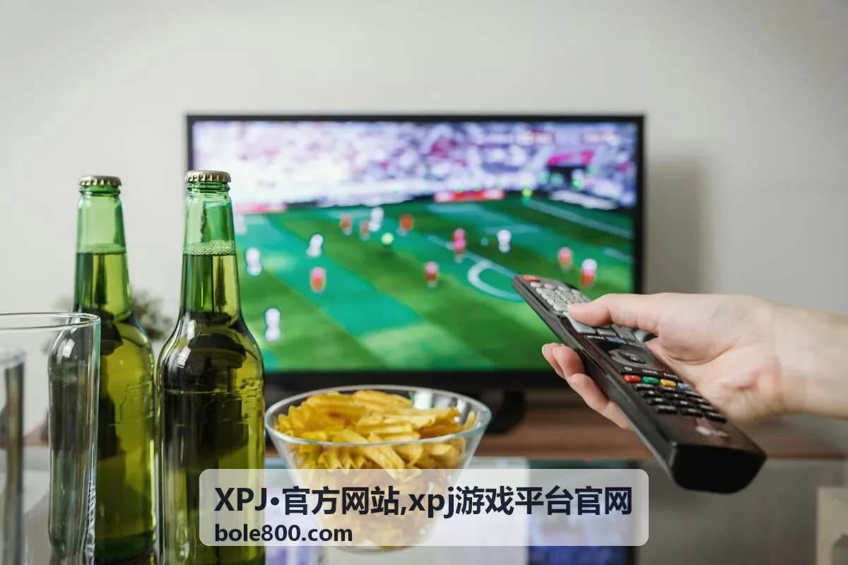 XPJ·官方网站安全识别提示封面图